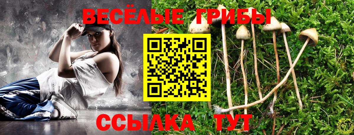Сарапул  Псилоцибиновые грибы ЛСД  Вход с VPN 