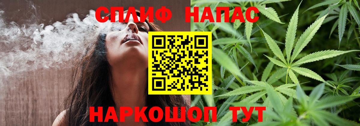 Канабис сатива Сарапул
